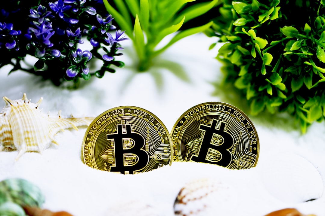 Two Bitcoins in the sand surrounded by seashells and plants.